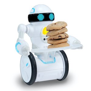 Robotics for Kids - Making STEM Fun! - Whiz Kids Robotics